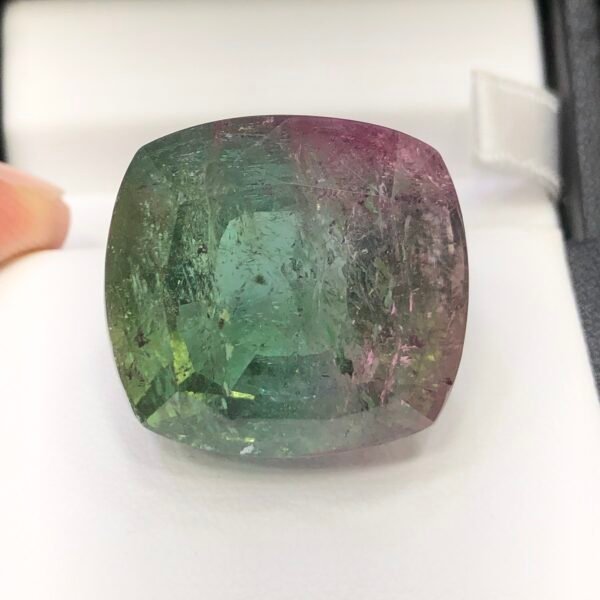 Natural Watermelon Tourmaline – 54.54 Carat – Cushion Shape – Pink & Green Bi-Color – African Origin