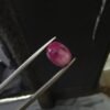 Kabuli ruby