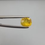 Natural Yellow Sapphire (Pukhraj) – 0.68 Carat – Origin Madagascar – Oval Cut Gemstone