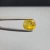 Natural Yellow Sapphire (Pukhraj) – 0.68 Carat – Origin Madagascar – Oval Cut Gemstone