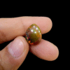 Natural Ethiopian Opal – 6.66 Carat (Lucky Number) – Pear Shape – Brilliant Green, Red & Yellow Fire