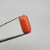 Natural Coral (Marjan) - Weight 11.61 Carat - Origin Italy - Shape Cylindrical Cabochon