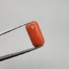 Natural Coral (Marjan) - Weight 11.61 Carat - Origin Italy - Shape Cylindrical Cabochon