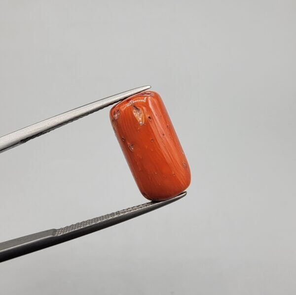 Natural Coral (Marjan) - Weight 11.61 Carat - Origin Italy - Shape Cylindrical Cabochon