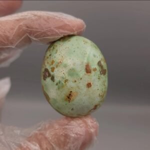 Natural Turquoise (Hussaini Feroza) – 173.75 Carat – Neyshabur Iran Origin – Premium Collector Stone