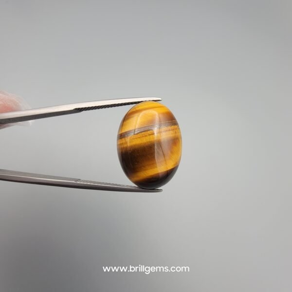 Natural 17.67 carat Tiger's Eye gemstone displaying prominent golden-yellow and deep brown chatoyant bands with a high-luster oval cabochon finish.