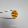 Natural 17.67 carat Tiger's Eye gemstone displaying prominent golden-yellow and deep brown chatoyant bands with a high-luster oval cabochon finish.