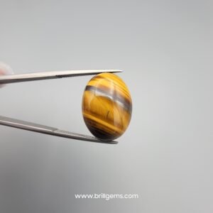 Natural 17.53 carat Tiger's Eye gemstone held in tweezers, showcasing distinct golden-yellow and brown chatoyant bands with a high-polish oval cabochon finish.