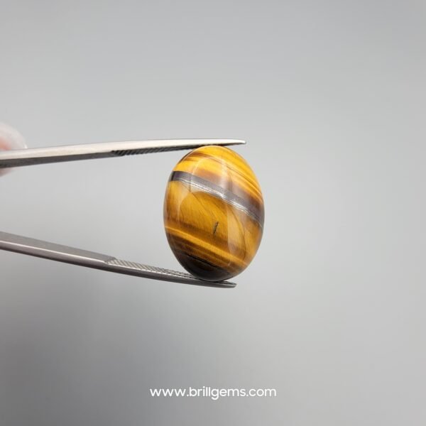 Natural 17.53 carat Tiger's Eye gemstone held in tweezers, showcasing distinct golden-yellow and brown chatoyant bands with a high-polish oval cabochon finish.