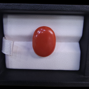 Rare 9.72 carat natural Italian red coral (Marjan) gemstone, featuring a vibrant oxblood red color and a smooth, high-luster cabochon finish.
