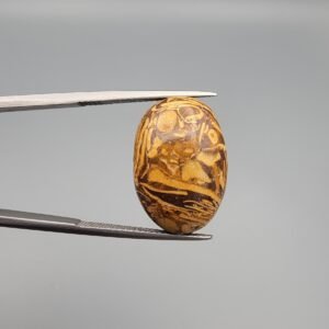 High-polished 18.51 carat natural Calligraphy Stone (Sang-e-Maryam) featuring intricate fossilized shell patterns in earth-toned brown and gold, held in professional gemstone tweezers.
