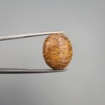 High-polished 15.08 carat natural Calligraphy Stone (Sang-e-Maryam) showcasing a dense, swirling golden-yellow fossil pattern on a rich brown jasper base, held in tweezers.