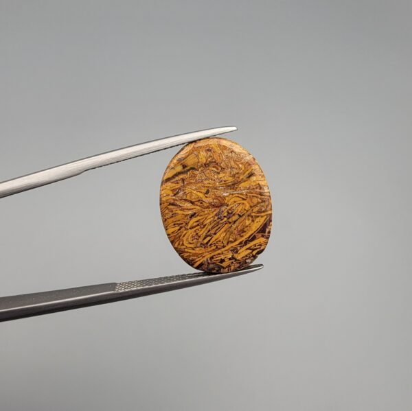 High-polished 15.08 carat natural Calligraphy Stone (Sang-e-Maryam) showcasing a dense, swirling golden-yellow fossil pattern on a rich brown jasper base, held in tweezers.
