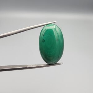 High-polished 21.47 carat natural malachite (Dana-e-Farhang) gemstone featuring unique "bullseye" concentric banding in vibrant emerald green, held in tweezers.
