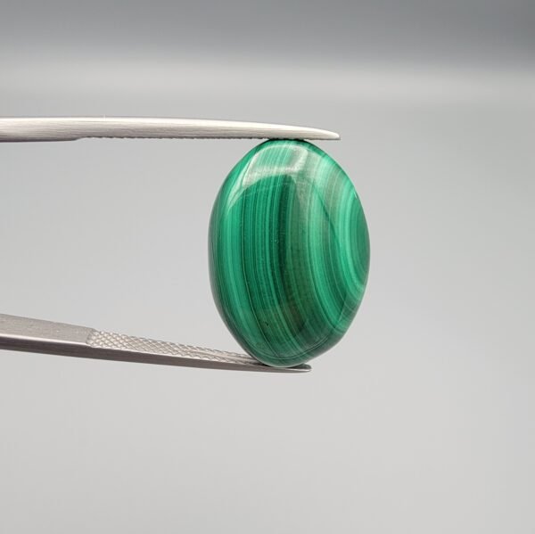 High-polished 21 carat natural malachite (Dana-e-Farhang) gemstone featuring deep emerald green vertical banding and a glossy oval cabochon finish, held in professional gemstone tweezers.