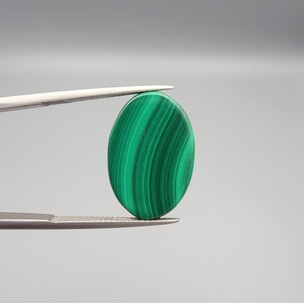 High-polished 21 carat natural malachite (Dana-e-Farhang) gemstone featuring deep emerald green vertical banding and a glossy oval cabochon finish, held in professional gemstone tweezers.
