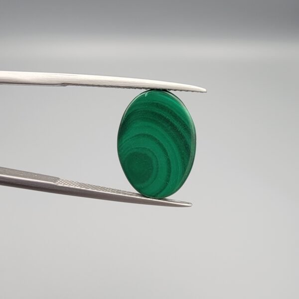 High-polished 10.90 carat natural malachite (Dana-e-Farhang) gemstone featuring deep, swirling emerald green orbital patterns in a smooth oval cabochon cut, held in tweezers.