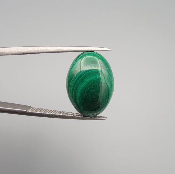 High-polished 10.90 carat natural malachite (Dana-e-Farhang) gemstone featuring deep, swirling emerald green orbital patterns in a smooth oval cabochon cut, held in tweezers.