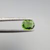 Natural Green Tourmaline – 0.82 Carat – GGI Certified | Vivid Forest Green | Oval Brilliant Cut | Brilliant Gemstone