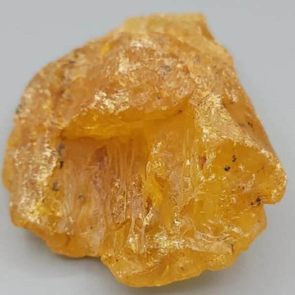 Massive 1,268.05 carat raw natural copal specimen, often known as "Young Amber," featuring a rich honey-gold translucent body with organic surface textures.