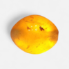 Translucent 168-gram natural copal "Young Amber" specimen featuring an egg-shaped polish that glows with an intense golden-orange radiance when illuminated by a torch.
