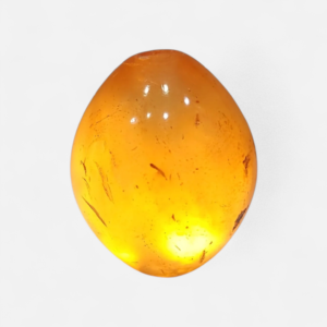 Translucent 168-gram natural copal "Young Amber" specimen featuring an egg-shaped polish that glows with an intense golden-orange radiance when illuminated by a torch.