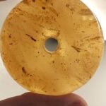 Translucent 250-gram natural copal "Young Amber" specimen carved into a large, flat disc with a central hollow, displaying complex internal organic inclusions and a warm honey-gold transparency.