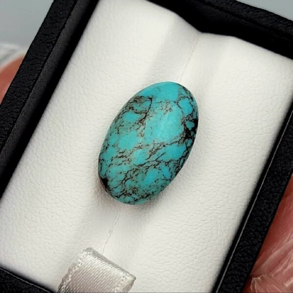 Vibrant 9.73 carat natural Egyptian turquoise (Feroza) oval cabochon featuring a bright sky-blue base with a fine, dark web-like matrix, presented in a black jeweler's display box.