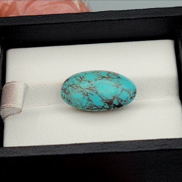 Vibrant 9.73 carat natural Egyptian turquoise (Feroza) oval cabochon featuring a bright sky-blue base with a fine, dark web-like matrix, presented in a black jeweler's display box.