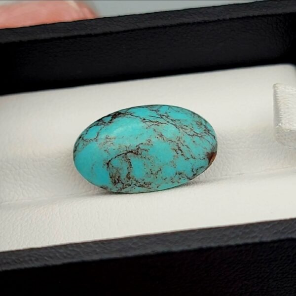 Vibrant 9.73 carat natural Egyptian turquoise (Feroza) oval cabochon featuring a bright sky-blue base with a fine, dark web-like matrix, presented in a black jeweler's display box.