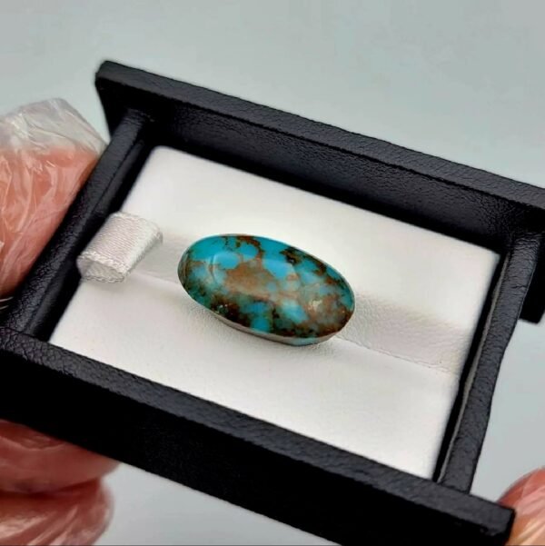 Significant 15.29 carat natural Egyptian turquoise (Feroza) oval cabochon with a rich teal-blue body and an extensive, earthy brown spiderweb matrix.