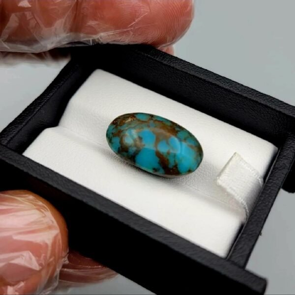Significant 15.29 carat natural Egyptian turquoise (Feroza) oval cabochon with a rich teal-blue body and an extensive, earthy brown spiderweb matrix.