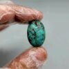 Extraordinary 38.01 carat natural Egyptian turquoise (Feroza) oval cabochon held in gloved hands, featuring a rich teal-blue body with a dramatic, dark spiderweb matrix.