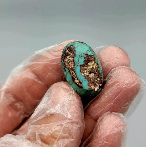 Extraordinary 38.01 carat natural Egyptian turquoise (Feroza) oval cabochon held in gloved hands, featuring a rich teal-blue body with a dramatic, dark spiderweb matrix.