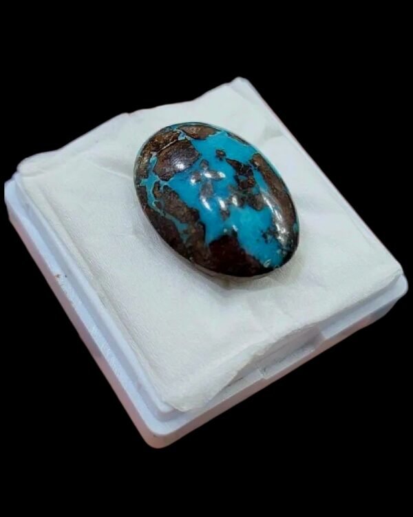 Massive 34.93 carat natural Egyptian turquoise (Feroza) oval cabochon featuring a vibrant teal-blue body with an extensive, high-contrast dark brown spiderweb matrix.