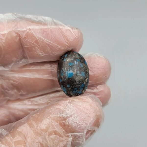 Significant 17.93 carat natural Egyptian turquoise (Feroza) oval cabochon featuring a vibrant teal-blue body with a high-contrast, dark chocolate-brown spiderweb matrix.
