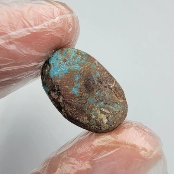 Large 12.70 carat natural Egyptian turquoise (Feroza) oval cabochon with a rich teal-blue body and an intricate dark chocolate-brown spiderweb matrix, presented in a black jeweler's display box.