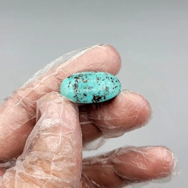 Large 19.65 carat natural Egyptian turquoise (Feroza) oval cabochon featuring a bright robin's egg blue body with a fine, scattered dark black-brown speckled matrix.