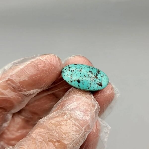 Large 19.65 carat natural Egyptian turquoise (Feroza) oval cabochon featuring a bright robin's egg blue body with a fine, scattered dark black-brown speckled matrix.