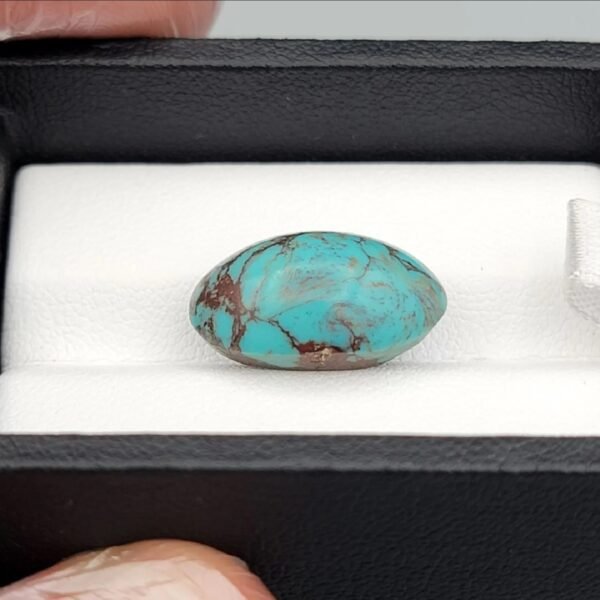 Premium 10.40 carat natural Egyptian turquoise (Feroza) oval cabochon displaying a vivid sky-blue body with an intricate, dark chocolate-brown spiderweb matrix, shown in a black jeweler's box.