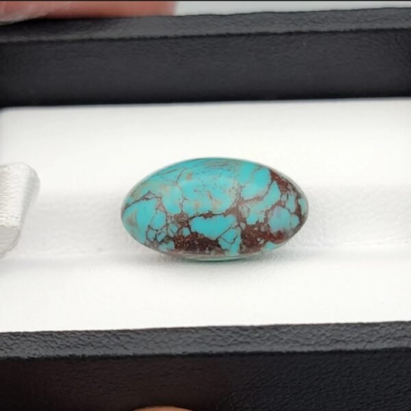 Premium 10.40 carat natural Egyptian turquoise (Feroza) oval cabochon displaying a vivid sky-blue body with an intricate, dark chocolate-brown spiderweb matrix, shown in a black jeweler's box.