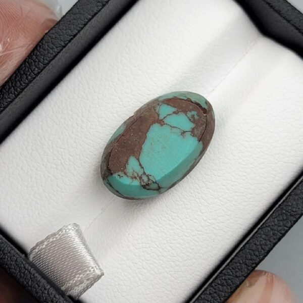 Premium 10.40 carat natural Egyptian turquoise (Feroza) oval cabochon displaying a vivid sky-blue body with an intricate, dark chocolate-brown spiderweb matrix, shown in a black jeweler's box.