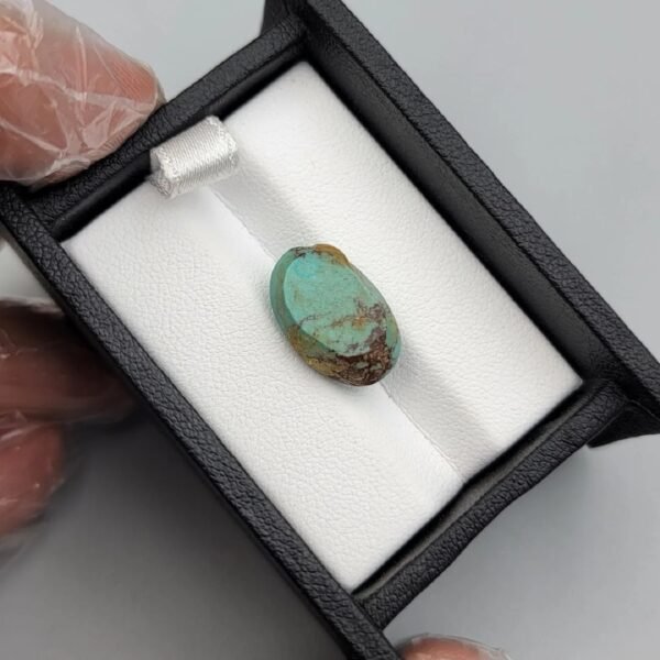 Vibrant 7.04 carat natural Egyptian turquoise (Feroza) oval cabochon displaying a luminous sky-blue surface with a delicate, fine dark-brown spiderweb matrix.