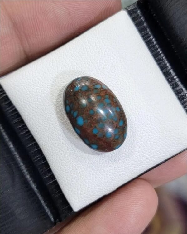 Premium 10.60 carat natural Egyptian turquoise (Feroza) oval cabochon with a vibrant teal-blue body and a dense, dark chocolate-brown spiderweb matrix, presented in a black jeweler's display box.