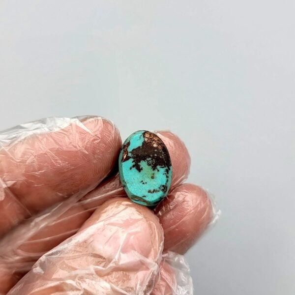 An 8.91 carat natural Egyptian turquoise (Feroza) oval cabochon featuring a brilliant sky-blue body with dark, irregular iron stone matrix patches, held in a gloved hand.