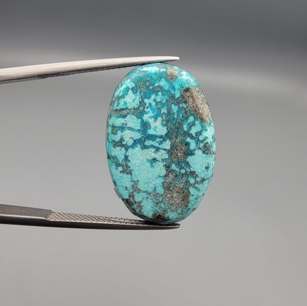 A 25-carat natural Iranian Turquoise (Feroza) from Kerman City, featuring a large oval cabochon cut with a vibrant blue-green base and dense golden pyrite matrix, held in jeweler's tweezers.