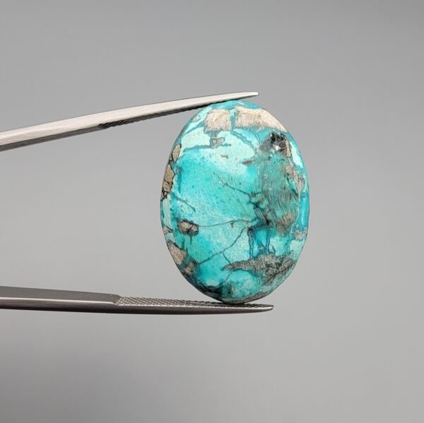 A 37.23-carat natural Iranian Turquoise (Feroza) from Kerman City, featuring a substantial oval cabochon cut with a vibrant sky-blue base and a heavy golden pyrite matrix, held in jeweler's tweezers.
