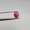 Natural Afghanistan Ruby (Yaqoot) – 0.50 Carat – Authentic Kabul City Origin | Oval Faceted Cut | Earth-Mined Red Gemstone | Genuine Untreated Ruby