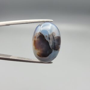 A 10.38-carat natural Iranian Dendritic Agate cabochon, showing a Shajari tree-like pattern on the front and a banded Sulemani Aqeeq pattern on the back.