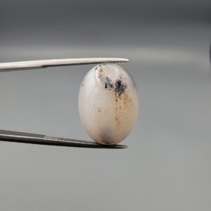 A 15.76-carat natural Iranian Milky Dendritic Agate (Shajari Dudhiya Aqeeq) cabochon, featuring a translucent white base with dark tree-like organic inclusions, held in jeweler's tweezers.